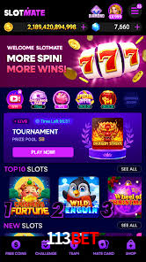 Roulette Table 113bet